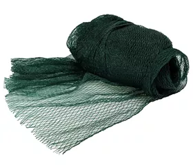 Catalog