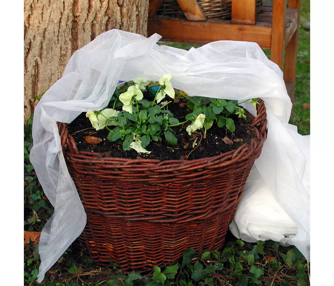 Non-tissés/tissus tissés