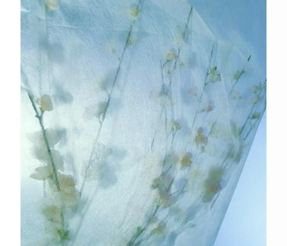 Non-tissés/tissus tissés