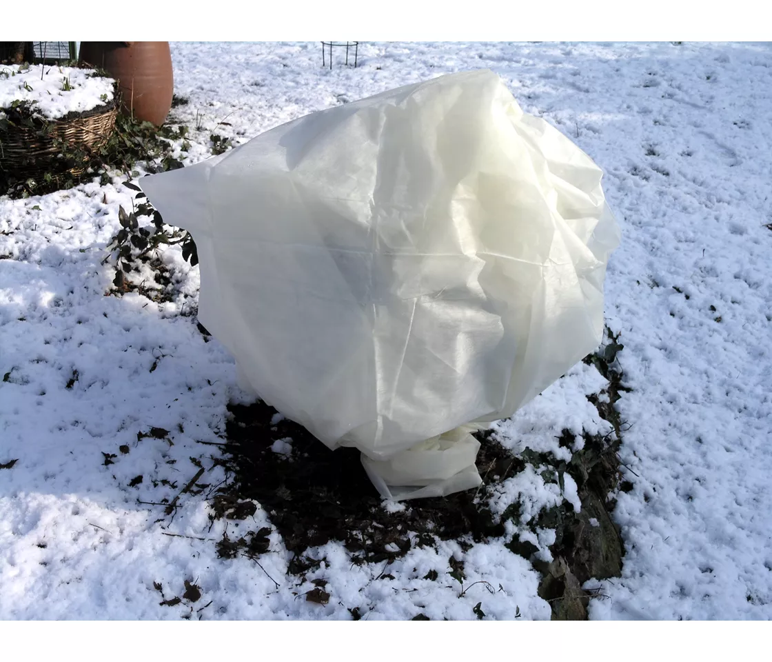 Non-tissés/tissus tissés