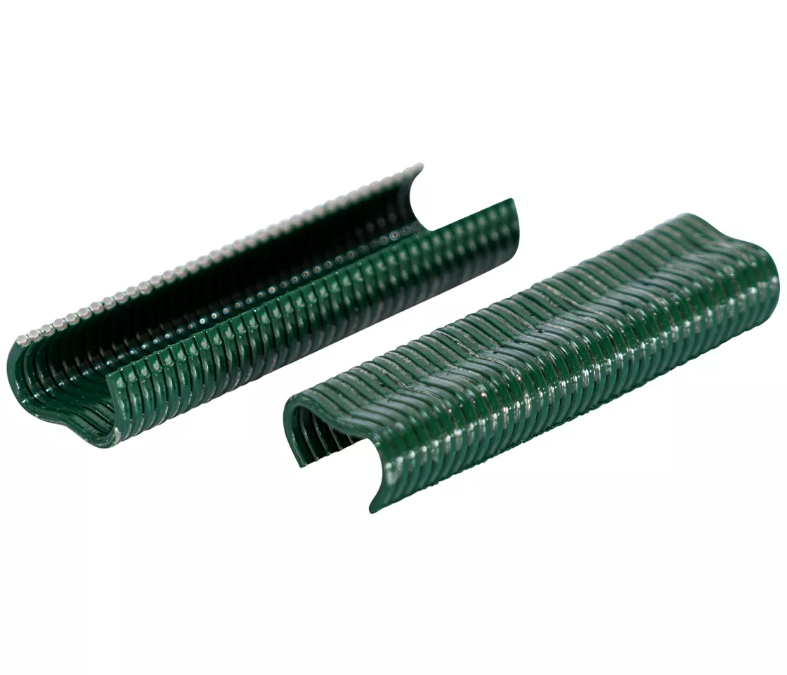 RAPID punti per reti